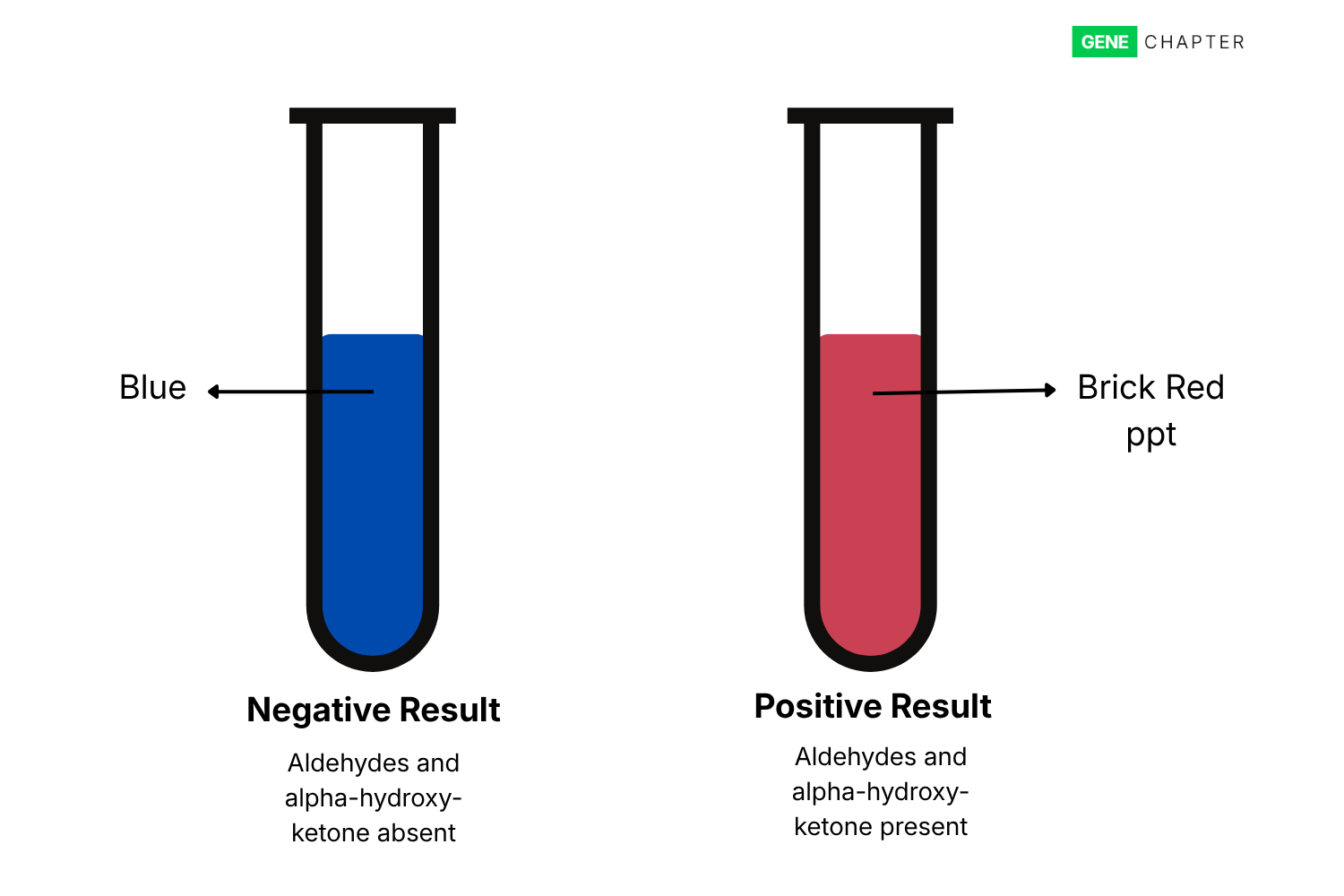 Fehling’s Test: Principle, Procedure, Result Interpretation and Applications
