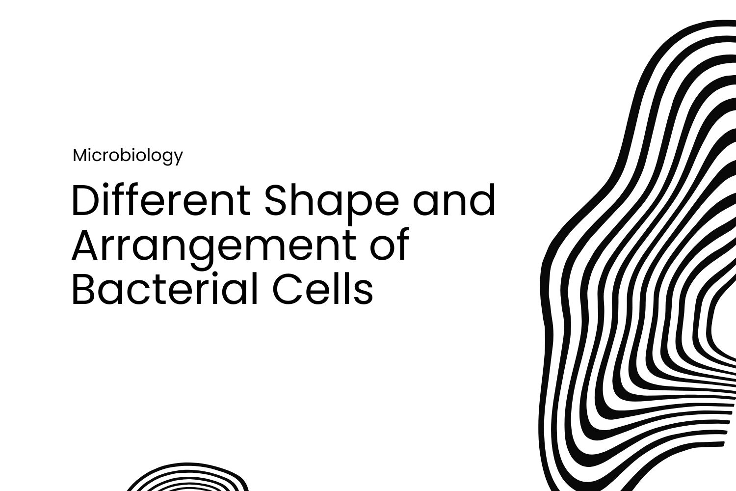 Different Shape and Arrangement of Bacterial Cells